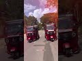 තාන තනා තදේ ඹබරෝ මහා පාරේ #lifeisbutadream #automobile #travel  වැනේ