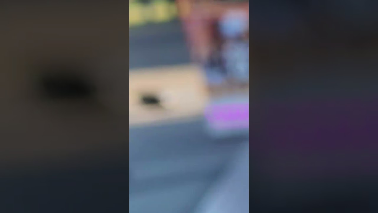 I visited the city centre of damgarten in Germany 🇩🇪