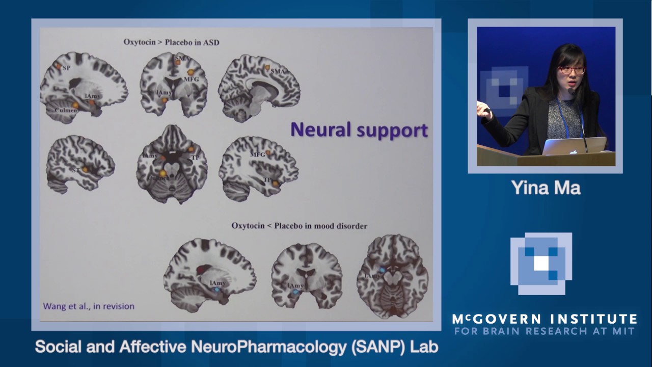 Yina Ma, Oxytocin and social adaptation: McGovern Institute Symposium