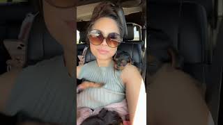 Taking My Baby Yorkies On A Road-trip. They Love It ๐ถ #yorkie #yorkshireterriers Taking My Baby Yorkies On A Road-trip. They Love It ๐ถ #yorkie #yorkshireterriers