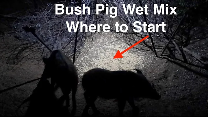 Part 2: How to make Bush pig bait - Wet Mix