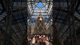 Christmas at Disneyland Tokyo✨