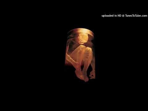 Alice in Chains - We Die Young (Demo)