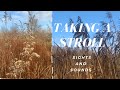 Taking a stroll | sights, sounds and some quotes | 11122021