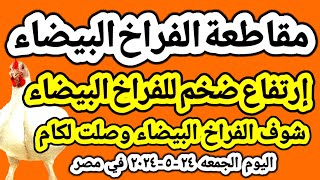 اسعار الفراخ البيضاء اليوم اسعار الدواجن اليوم الجمعه ٢٤-٥-٢٠٢٤ جمله وقطاعي في مصر