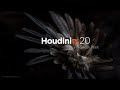 Houdini 20 sneak peek