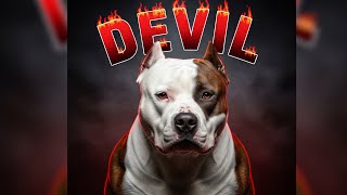 Devil On Walk Pitbull Ne Sheep Ko Kya Kiya