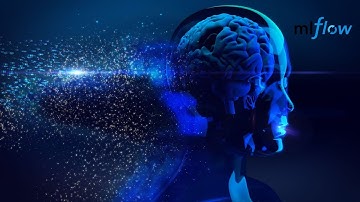 How To Start MLFLow UI and Track Python Model Runs