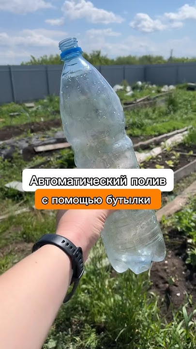 Это работает! Как сделать полив без насоса из бочки - YouTube