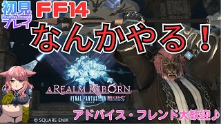 【FF14配信】やることみんなに決めてもらおう！o(^▽^)o♥新人Vtuberファイナルファンタジー14／FINALFANTASYXIV ドラクエ10