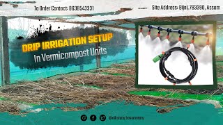 Drip Irrigation Setup in Vermicompost Units | Bijni, Assam