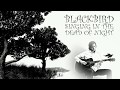 The Beatles Blackbird Cover and Lyrics -  Video I Made For A Contest To Meet Paul McCartney In 2017