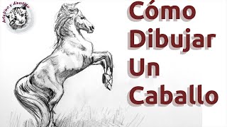 Como Dibujar un Caballo Paso a Paso a Lapiz: Como Dibujar Animales - thptnganamst.edu.vn