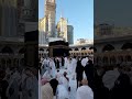 Lebbeyk #islamicstatus #umrah #love #medina #makkah #mekkah #mekke #islam #islamicvideo #islamic
