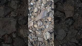Paleo Point Artifact Found in the Warm Southwest Badlands.