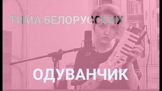 мусор - КАВЕР НА ТИМА БЕЛОРУССКИХ ОДУВАНЧИК