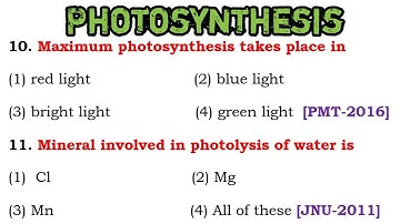 Plant Physiology MCQ : Photosynthesis :Biology MCQs