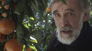 映画『みかんの丘』『とうもろこしの島』予告編