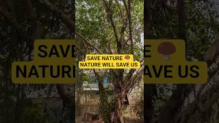 Save nature 🍄🟫 nature will save us #savenature #savetrees #savemountains #saveanimals #nature