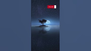 وهم يصطرخون فيها ربنا أخرجنا || #سلطان_العمري سورة فاطر