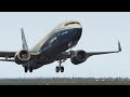 REAL 737 Pilot LIVE | ZIBO MOD 737 | Riga - Bratislava | X-Plane 11