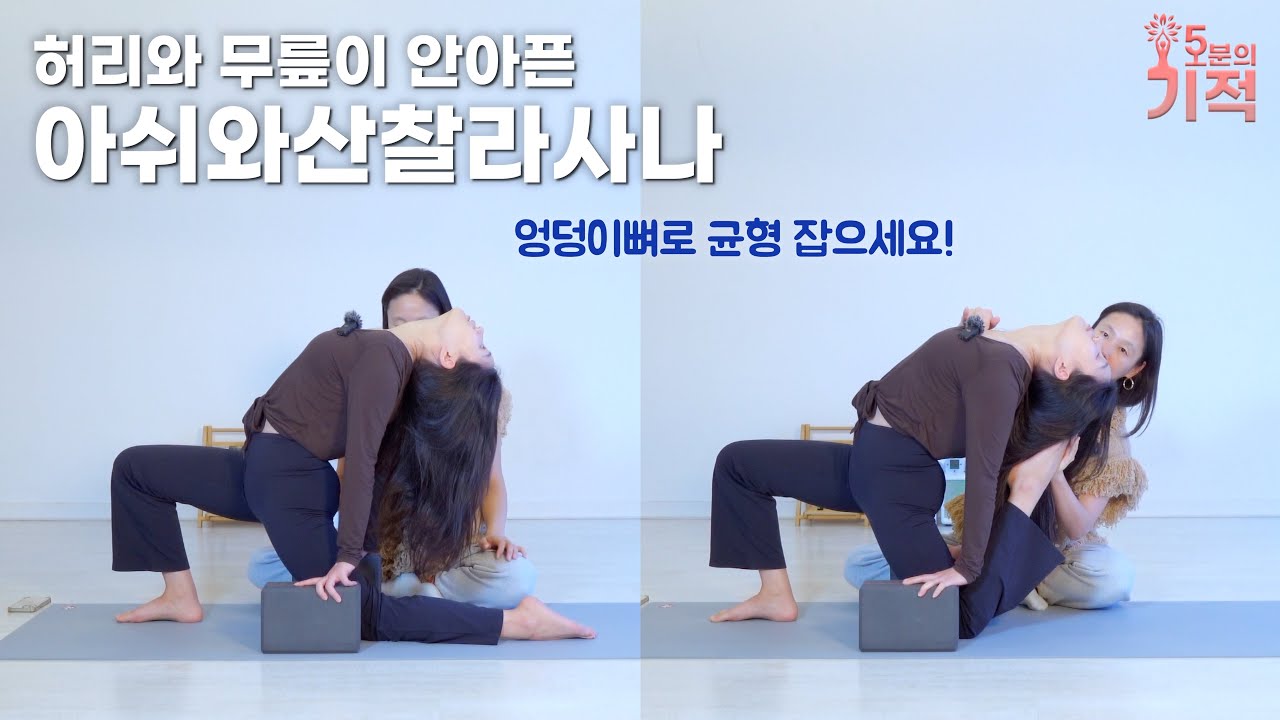 균형을 찾고, 골반을 세운 아쉬와산찰라사나