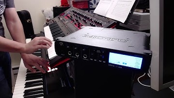 Playing EDM Music on Synthesizer