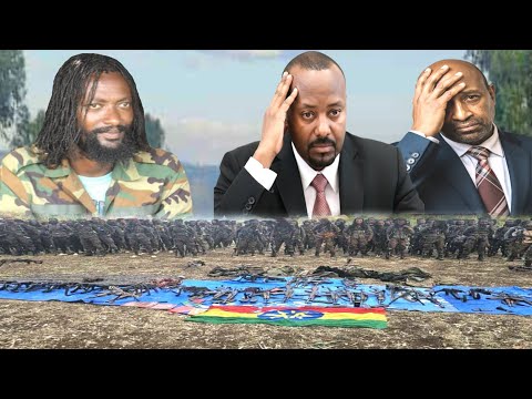 ODUU Ammee WBO Injifannoo Argachu Beeksise