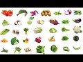 Vegetable Names in English with Pictures
