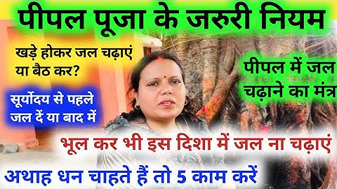 Pipal Puja Vidhi  बस इस विधि से कर लीजिए पीपल पूजा दुर्लभ से दुर्लभ मनोकामना की पूर्ति होने लगेगी