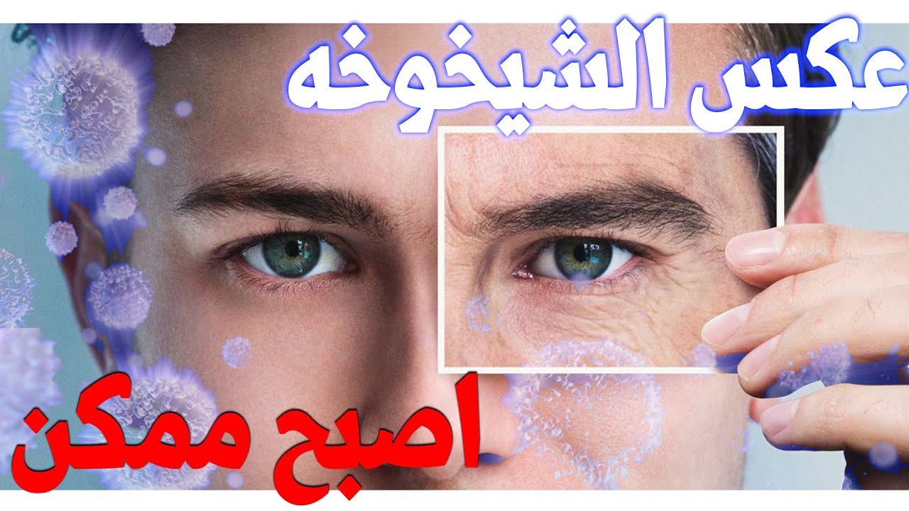 الخلايا الجذعية | علاج السرطان, اللوكيميا, السكري, تساقط الشعر