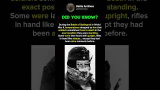 Stalingrad’s Deadly Winter #history #facts