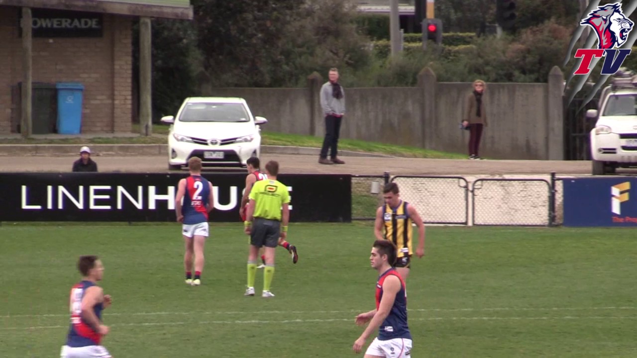 faceapp Coburg vs Sandringham Round 14 DL Highlights