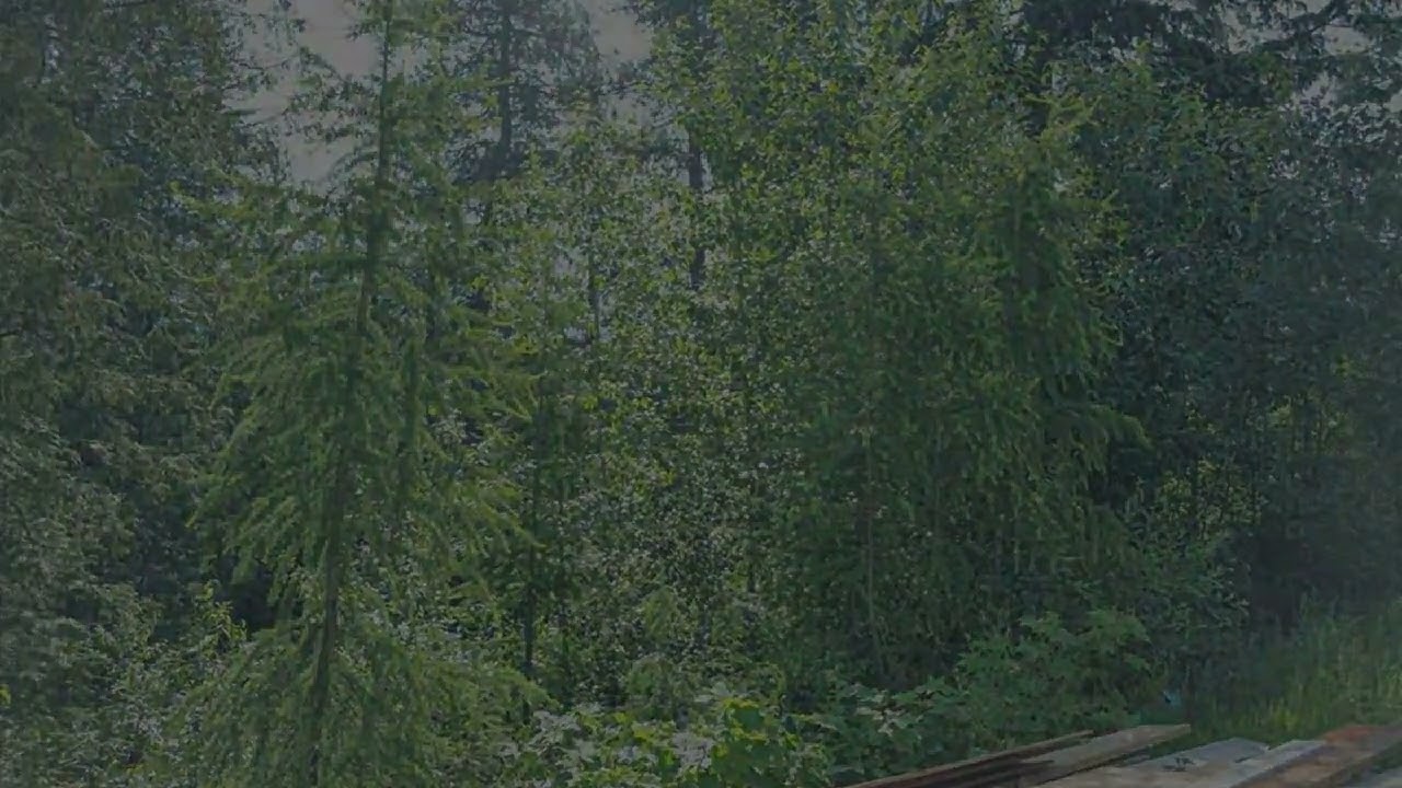 206 Rock Cut Road Rossland, BC V0G 1Y0