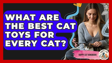 What Are The Best Cat Toys For Every Cat? - Happy Cat Handbook