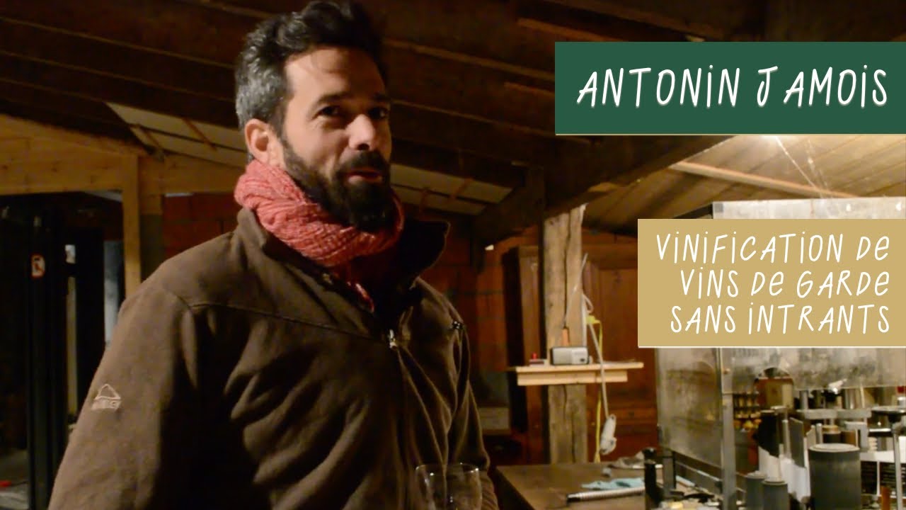 Antonin Jamois - Vinification nature dans l'Entre Deux Mers