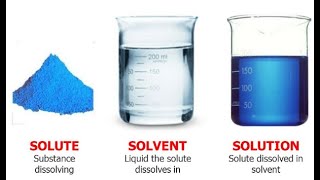 12.3 - Solubility Video Notes