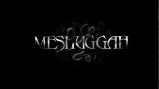 Messuggah - Imprint of the Unsaved