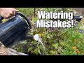 Watering Mistakes That Are Slowly Killing Your Garden!