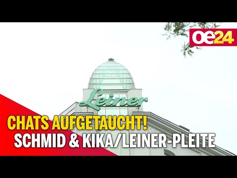 Schmid soll sich in Kika/Leiner-Pleite eingemischt haben