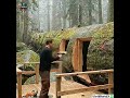 Timelapse Building a shelter from a tree trunk