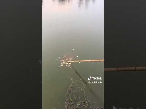 واو جميل هاد فيديو يوتيوب اكسبلور معجزات    دويتو تصميمي 