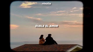 &quot;Soy fragilidad sin ti&quot; // Aleks Syntek &amp; Ana Torroja - Duele el amor (letra)