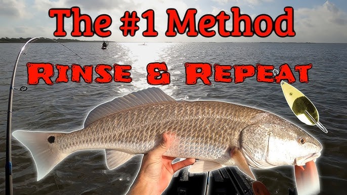 Wake Baits 101 How To Rig & Catch Redfish And Speckled Trout On Them 
