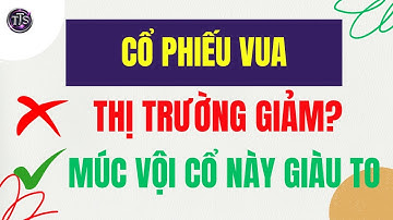 Cổ Phiếu Này Đang Âm Thầm Tạo Sóng – Phân Tích Kỹ Thuật Chi Tiết!