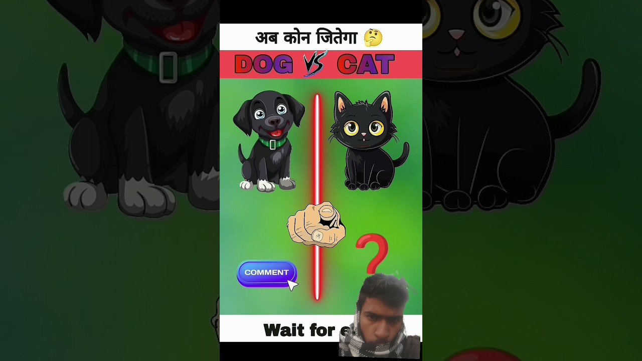 DOG VS CAT 