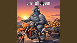 one full pigeon