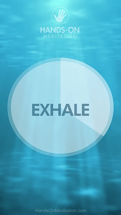 Personalized 4-7-8 Calm Breathing Exercise | Unlimited Cycles | Beginner Pace | Pranayama | #shorts