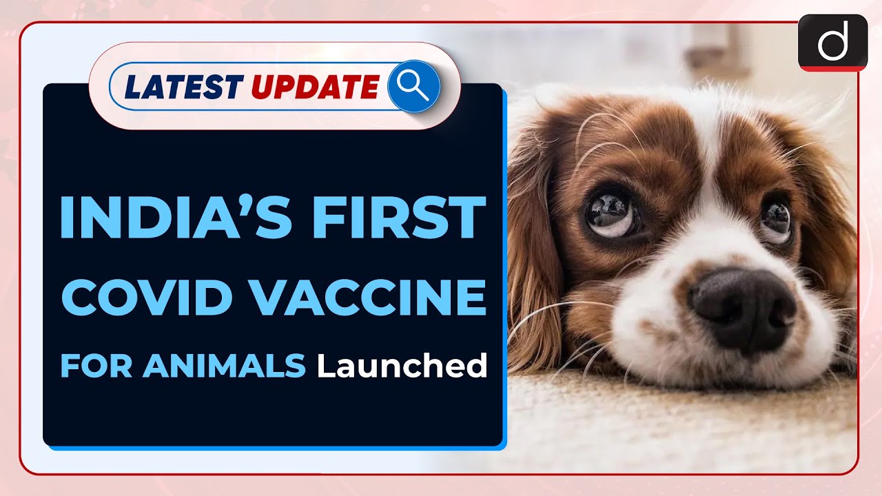 India's First Covid Vaccine For Animals Launched: Latest update | Drishti  IAS English - YouTube