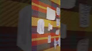 Tamagotchi Pixels The Grand Canyon 2 Final Chapter End Credits Pbs Kids Variant